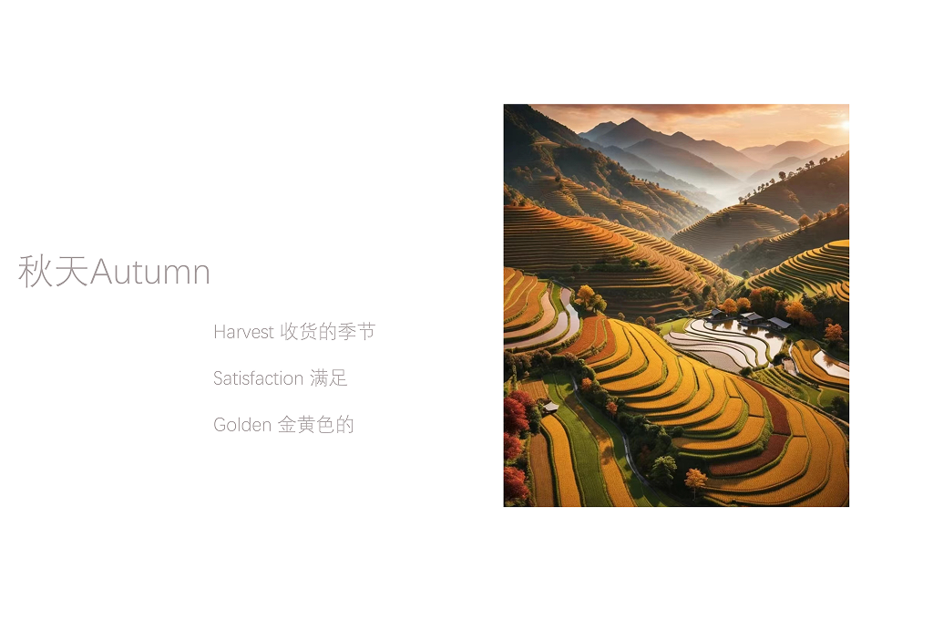 生活馆创造柔和、季节性的空间